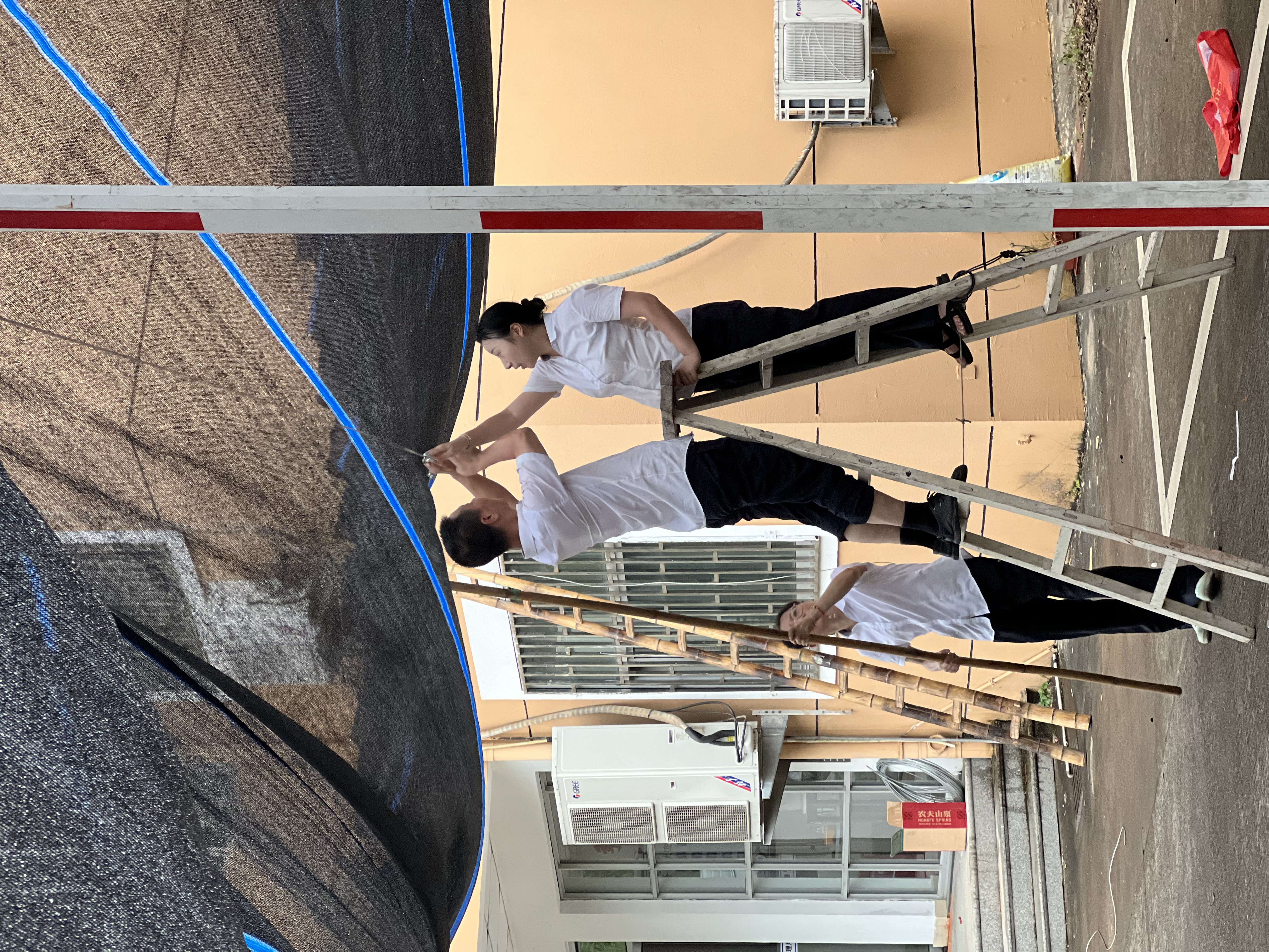 1691394961197721.jpg 59ec5df8ef29fb0881acf37ee2ba933.jpg